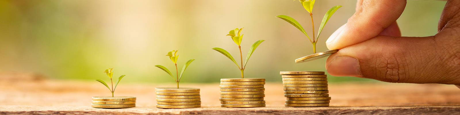 debt-capital-market